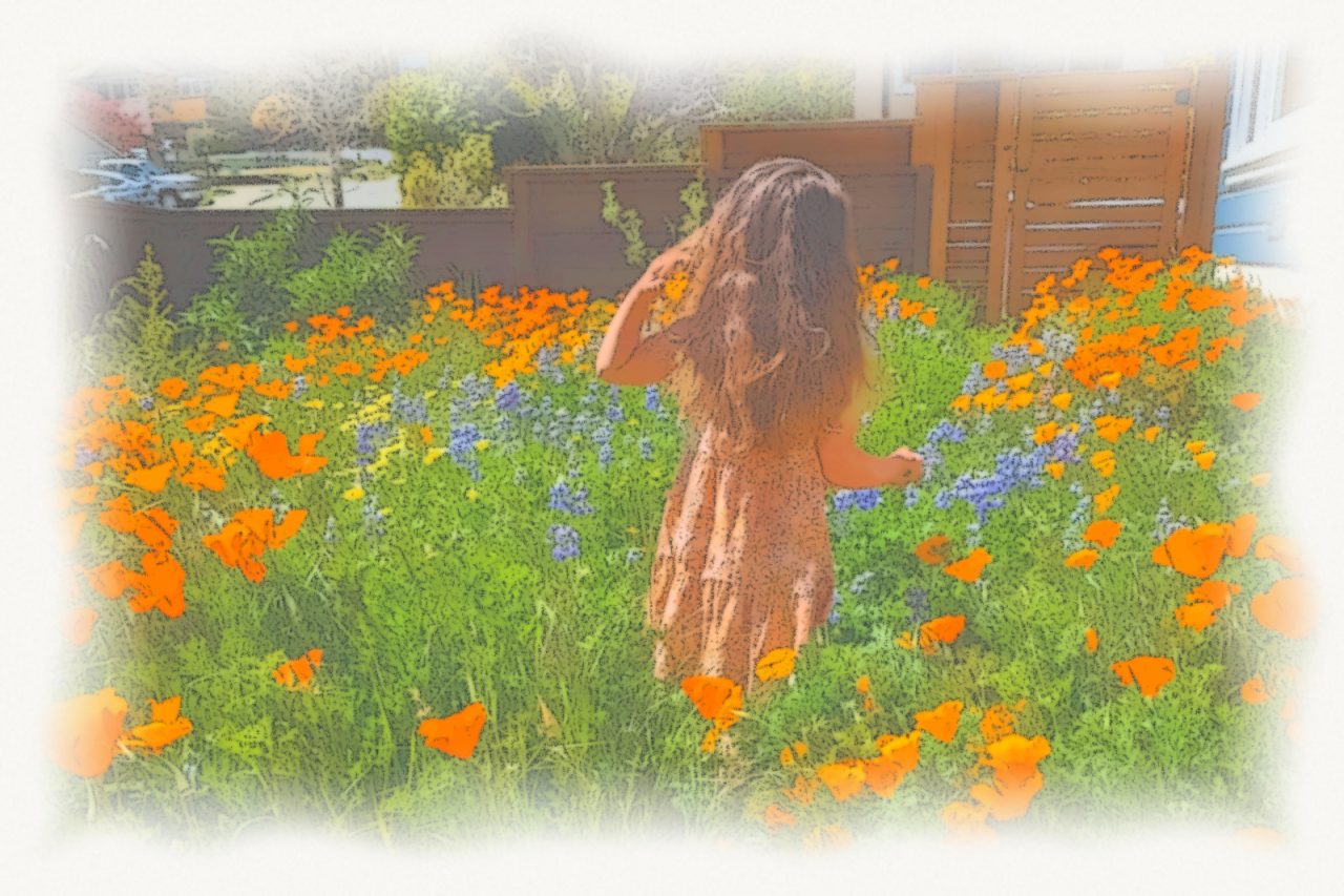A front yard where the lawn was, drawn as a soft watercolor: a child walking through California poppies and lupines in bloom, a wooden fence and the house behind